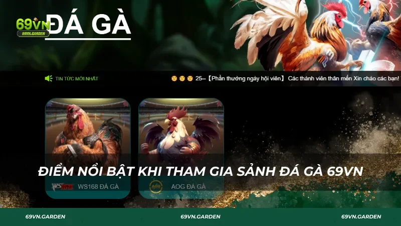 Điểm nổi bật khi tham gia sảnh đá gà 69VN